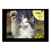 Reach Life Lessons From a Cat ACEO Art Cards