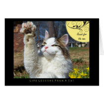 Reach Life Lessons From a Cat Card
