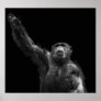"Reaching" Wildlife Conservation Chimp Art Canvas Poster
