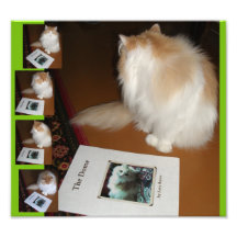 read_my_book photo art