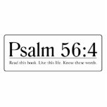 Read the Bible Psalm 56:4 photo sculptures