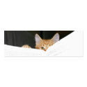 read to me kitty bookmark business cards