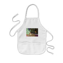 Reading Fairytales Aprons
