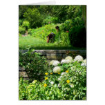 Reading in the Garden Greeting Card