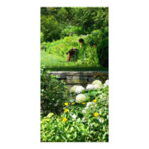 Reading in the Garden
