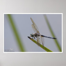 Ready for Takeoff Poster