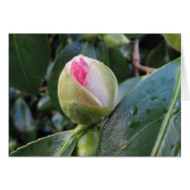 Ready to Bloom Card