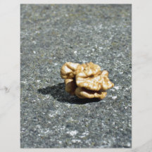 Ready to eat Walnut on a granule Full Color Flyer