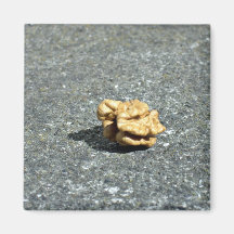Ready to eat Walnut on a granule Refrigerator Magnet