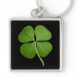 Real 4 Leaf Clover Shamrock Black keychains