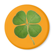 Real 4 Leaf Clover Shamrock Orange