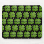 Real 4 Leaf Clover Shamrocks Black