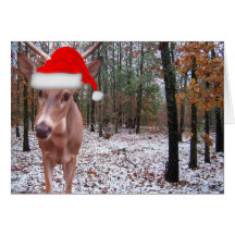 Real Deer Sporting Santa Hat Christmas Scene Card