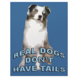 Real Dogs Don't Have Tails letterhead