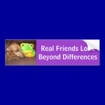 Real Friends Look Beyond Differences bumper stickers