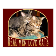 Real Men Love Cats Postcard