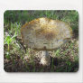 Real Mushroom Mousepad