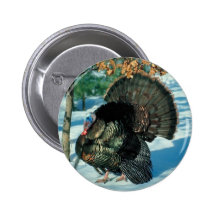 Real Turkey Button