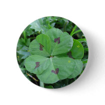 Real wild lucky 5 leaf clover