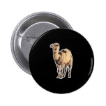 realistic camel button
