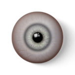 Realistic Grey Iris Eyeball Button
