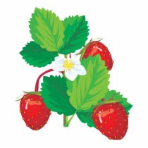 realistic juicy strawberries cut outs