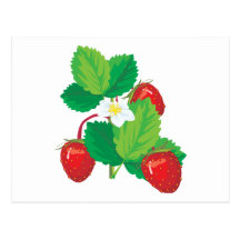 realistic juicy strawberries post cards