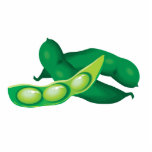 realistic pea pods photo cutout