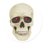 Realistic Skull stickers