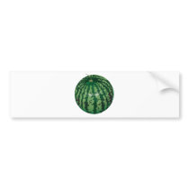realistic watermelon bumper stickers