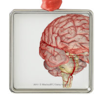 Realitic rendering of the human brain christmas tree ornament