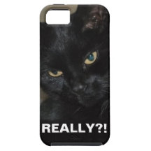REALLY?! Cat iPhone 5 Case