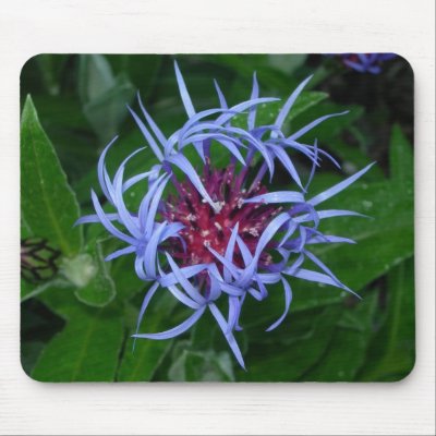 Really cool looking blue flower mousepad by bkang22
