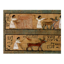 Reaping and ploughing, detail a depiction postcards