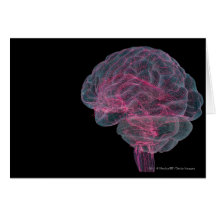 Rear view of the human brain card