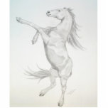 Rearing Horse, Acrylic Sculpture photo sculptures