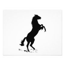 Rearing Horse Personalized Invitations