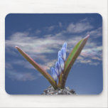 Rebirth ~ mousepad