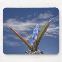 Rebirth ~ mousepad