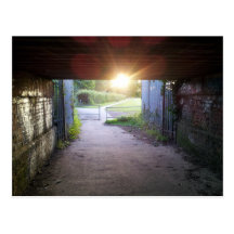 Reborn by Fredi Stewart Postcards