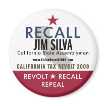Recall Jim Silva Magnet
