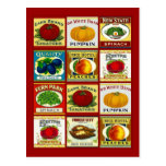 Recipe Card Postcard Design To Share Fav Recipes