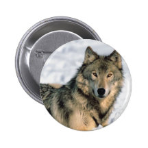 Reclining Wolf Button