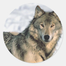 Reclining Wolf Round Sticker