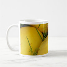 récolte 10 tasse à café