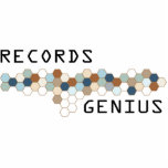 Records Genius Photo Sculpture