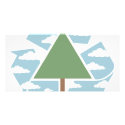 Recycle - Tree -1 photo cards