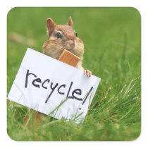 recycling chipmunk square stickers