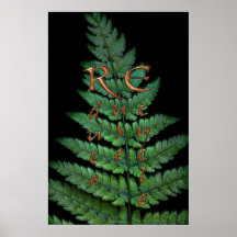 RECYLE, REUSE, REDUCE Environment Fern Art Poster