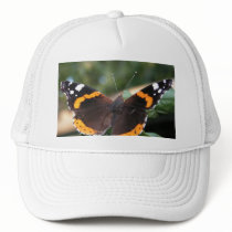 Red Admiral Butterfly  Baseball Hat